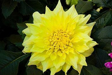 《分裂之门：竞技场战争》第一赛季正式上线宣传片